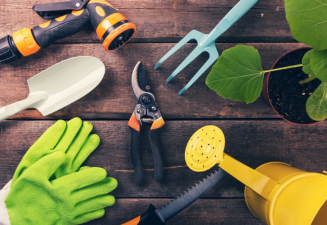 Best Gardening Tools for Beginner Homeowners